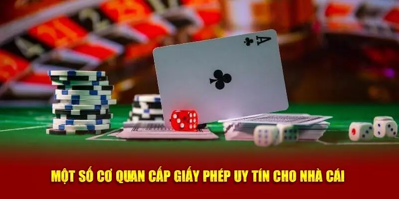 Ý nghĩa của từng giấy phép hoạt động